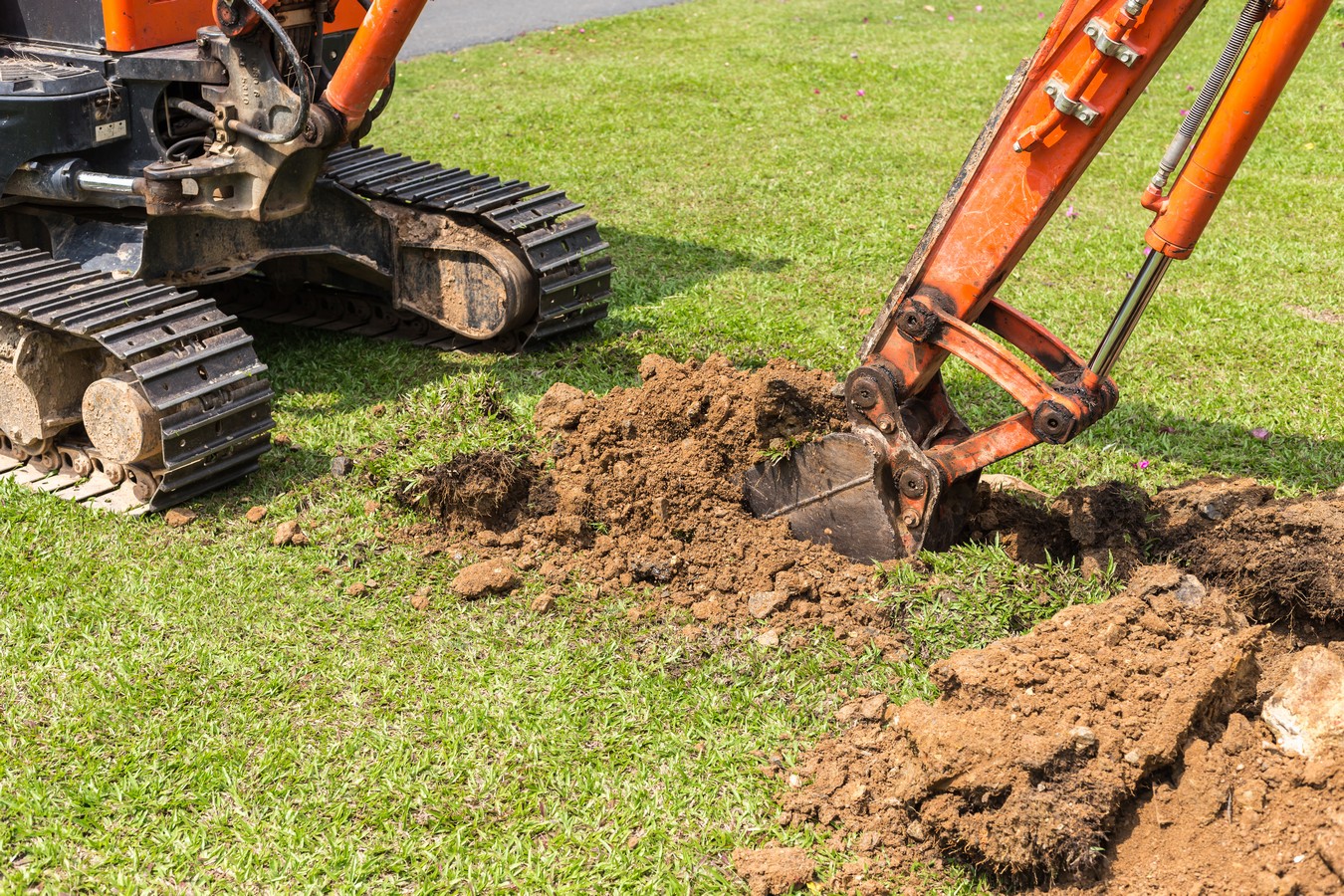 Pulizia & Movimento Terreno